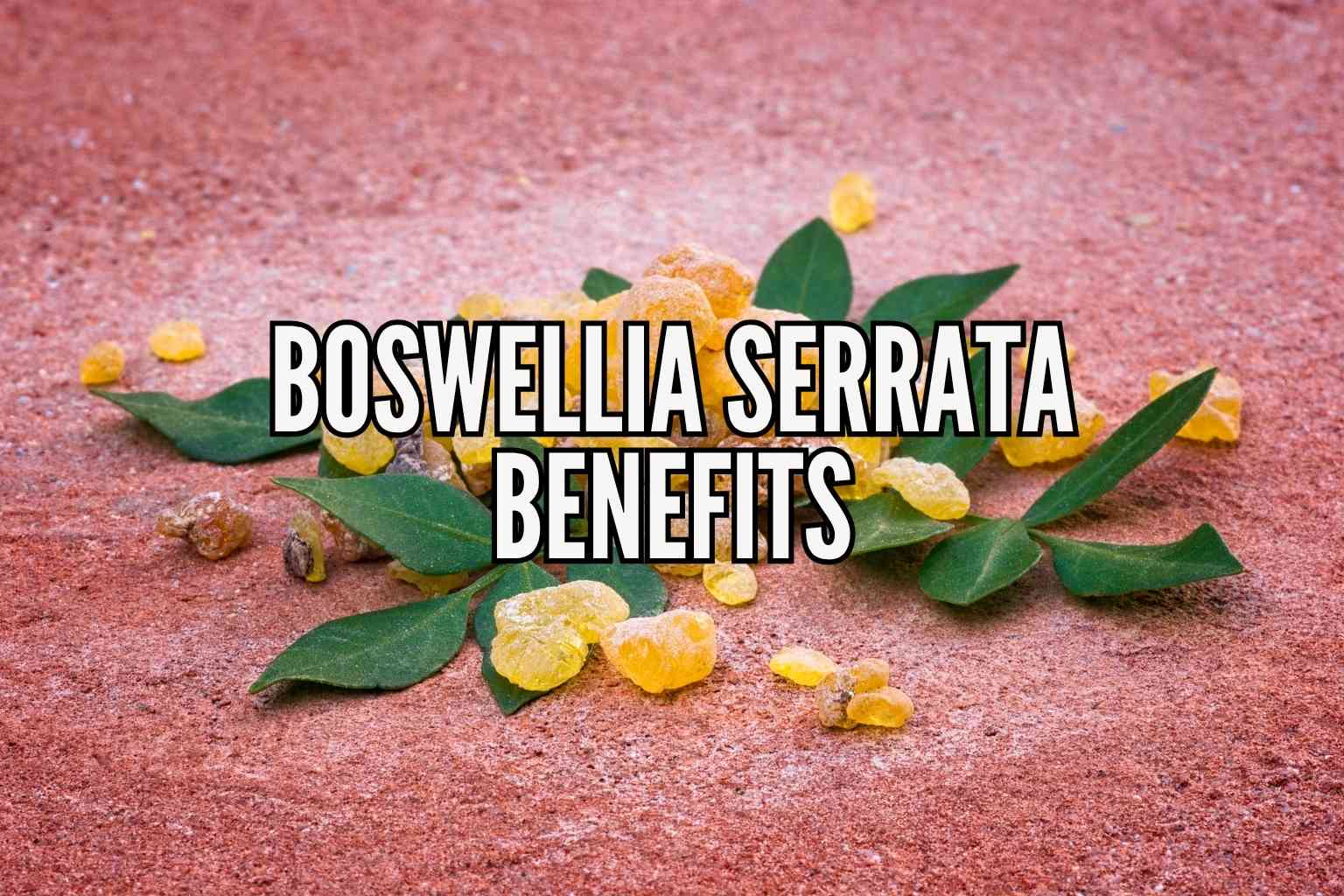 Boswellia Serrata Benefits