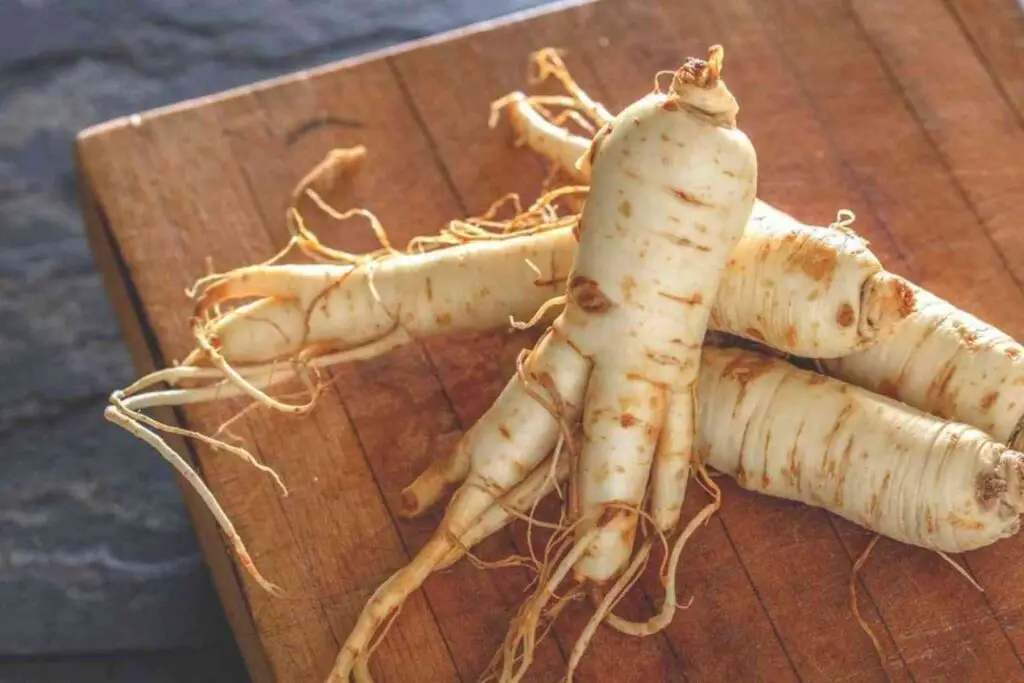 Panax Ginseng