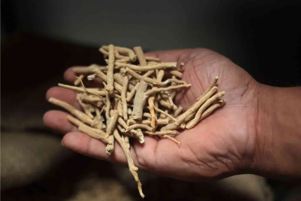 Ashwagandha