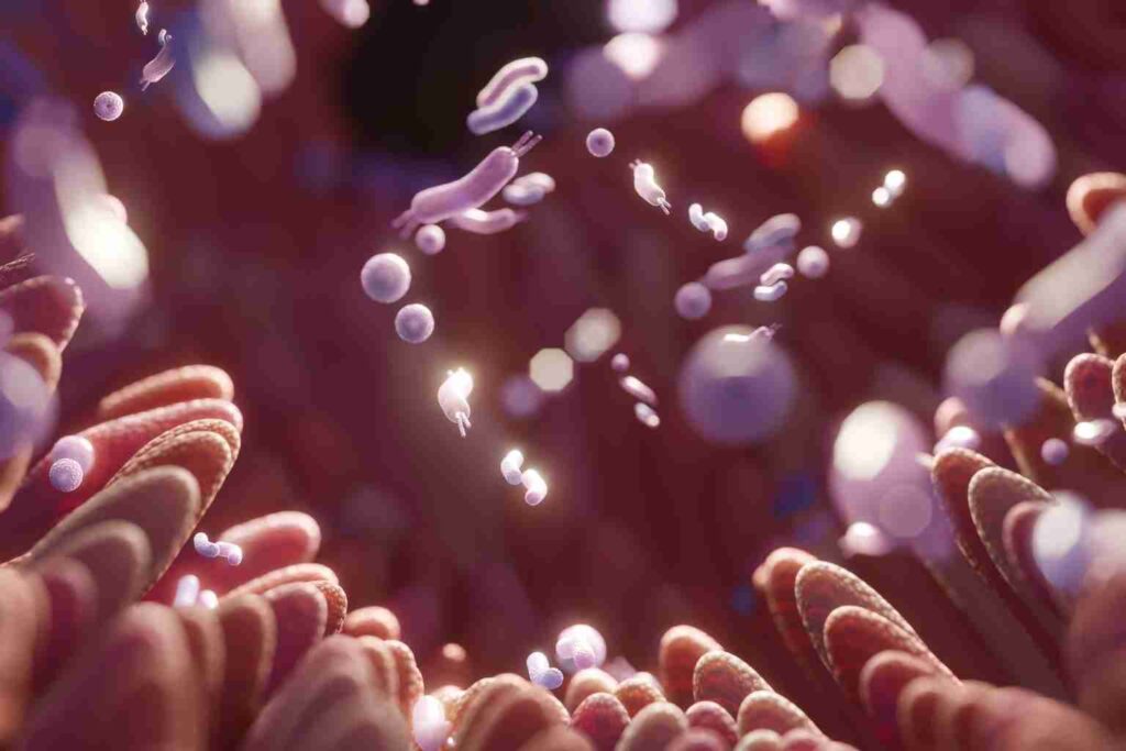 Visiflora gut eye connection review