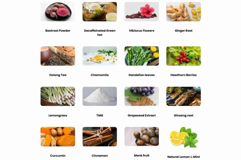 Cardio Slim Tea Ingredients
