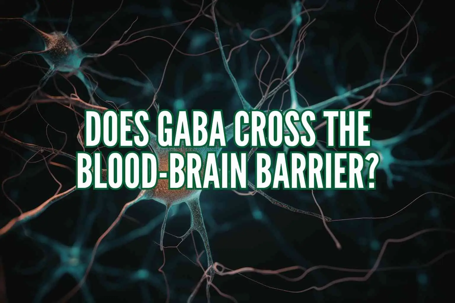 does GABA cross the blood brain barrier
