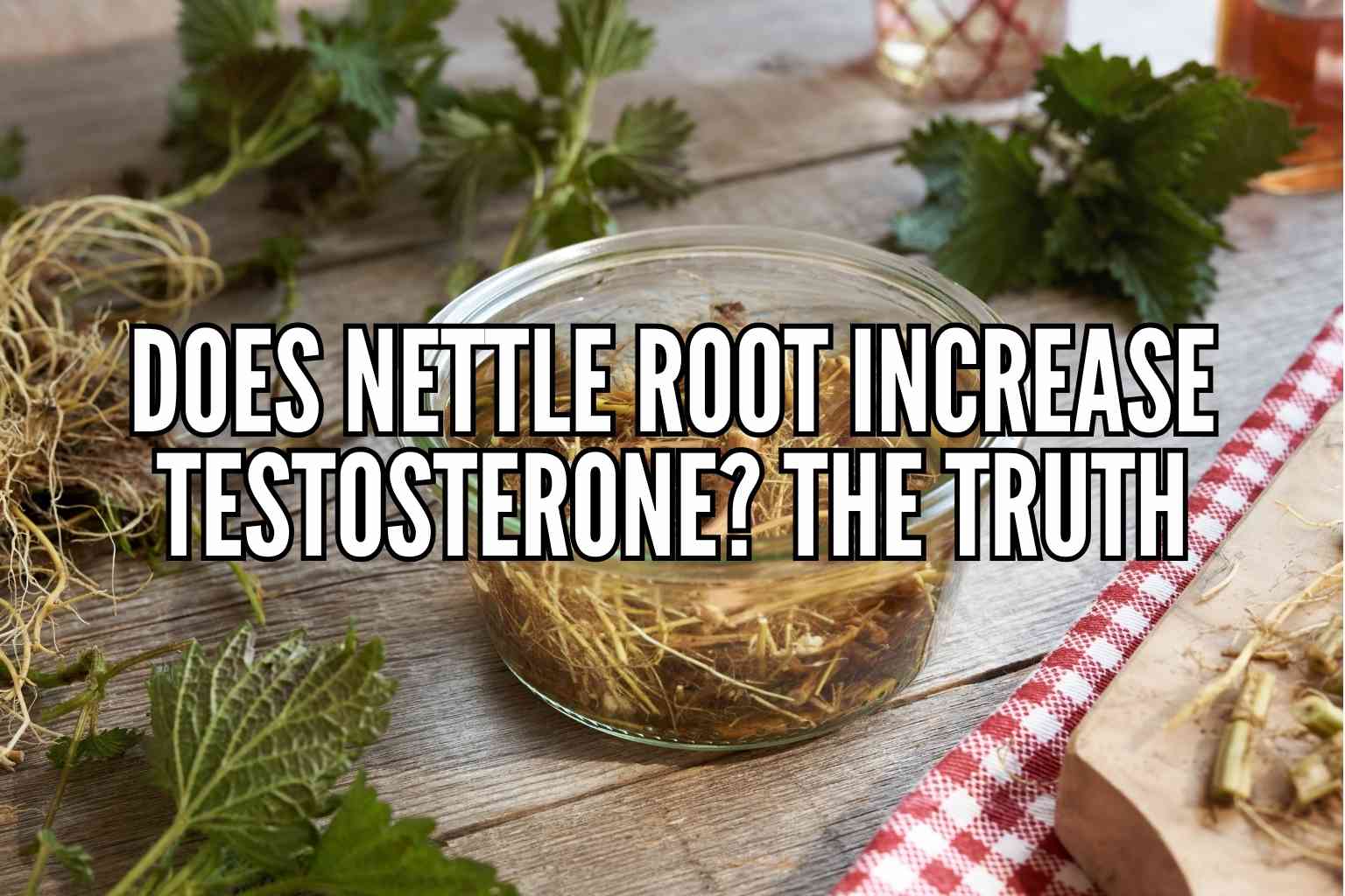 does nettle root increase testosterone