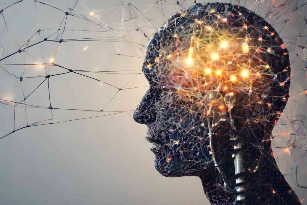 GABA Benefits: inhibitory neurotransmitter