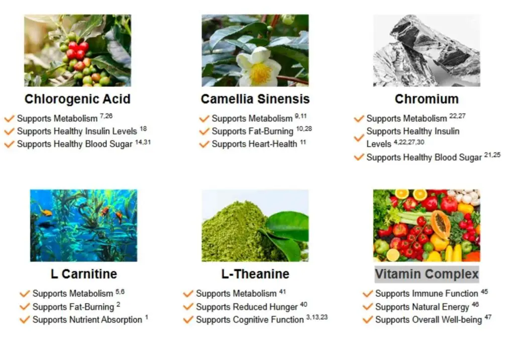 Java Burn Ingredients