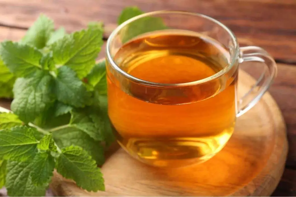 lemon balm benefits for women over 50