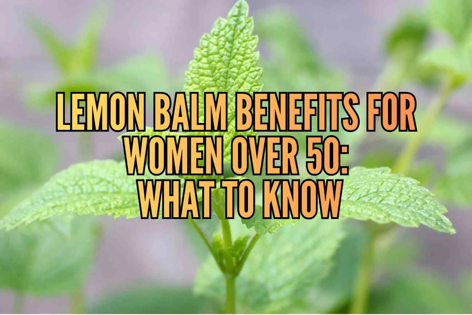 lemon balm benefits for women over 50