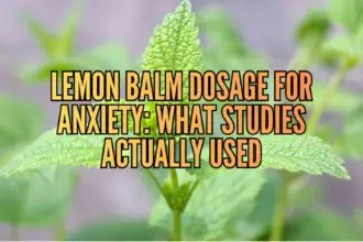 lemon balm dosage for anxiety