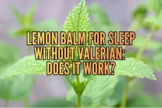lemon balm for sleep without valerian