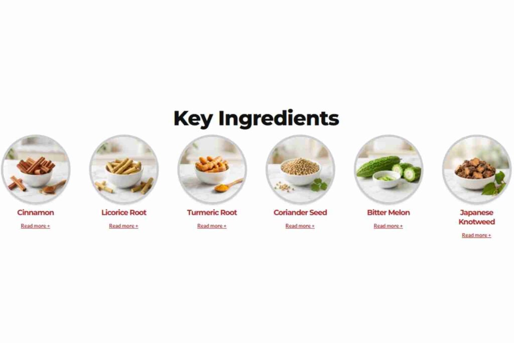 Metaflow Ingredients