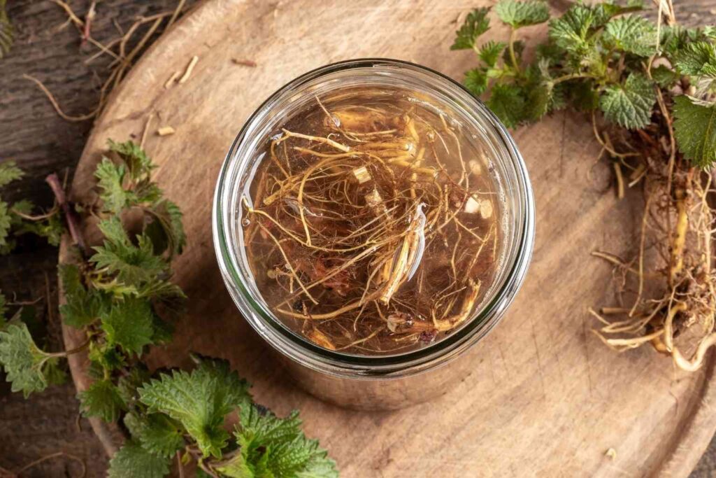 Nettle Root Benefits