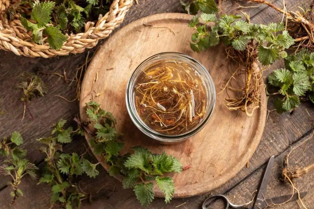 does nettle root increase testosterone