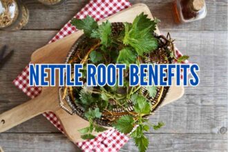Nettle Root Benefits